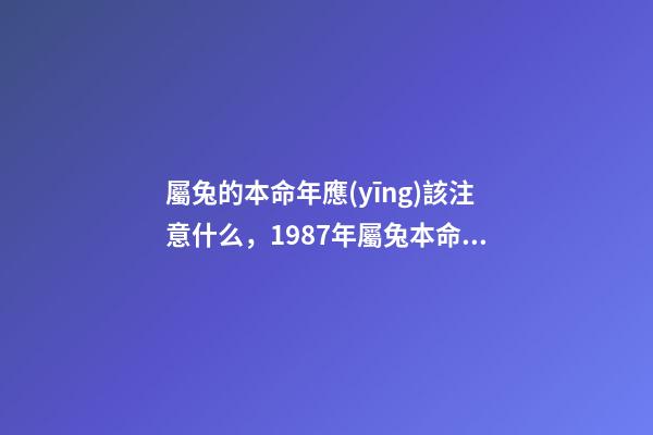 屬兔的本命年應(yīng)該注意什么，1987年屬兔本命年 87年的兔子應(yīng)該注意的什么-第1張-觀點(diǎn)-玄機(jī)派